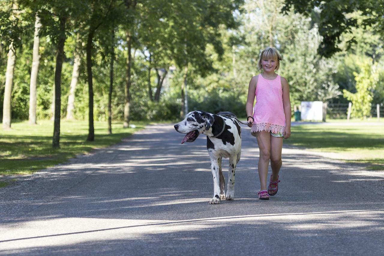 Mb Zeeuwse Mobile Home Hoek Zewnętrze zdjęcie